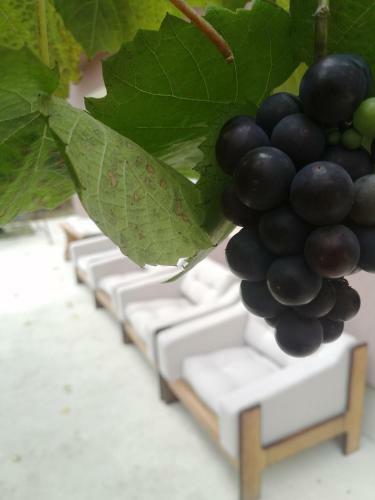 Apartamento Uzicki-konaci