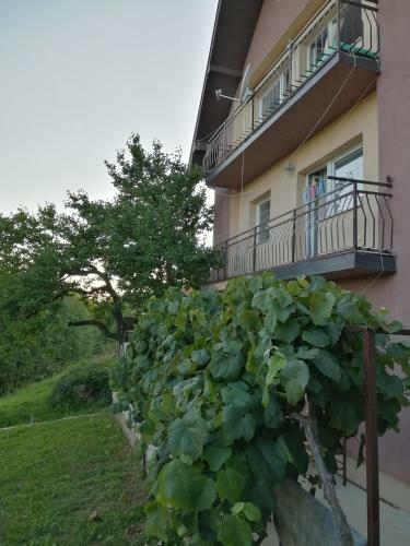 Apartamento Uzicki-konaci