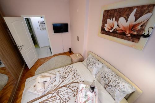 Apartman Centar Lux Valjevo