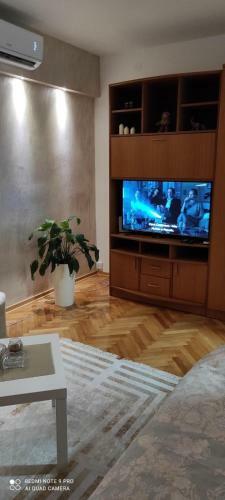 Apartamento Stan Na Dan Sinisa