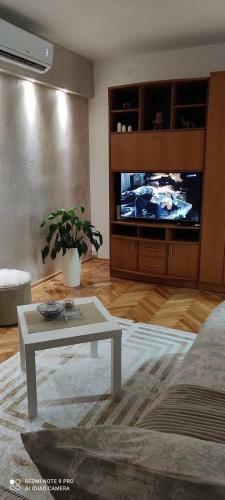 Apartamento Stan Na Dan Sinisa