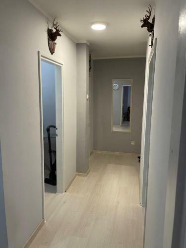 Apartman Lola