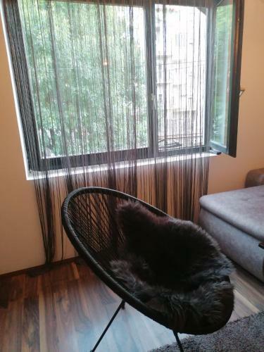 Apartmani Aleksic
