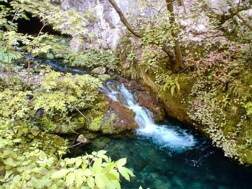 Apartman Cherry Gradac Valjevo