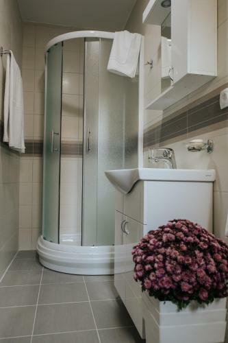 Apartman Srna