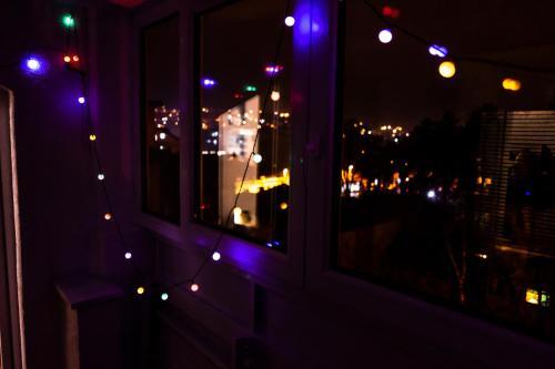 Apartment 17