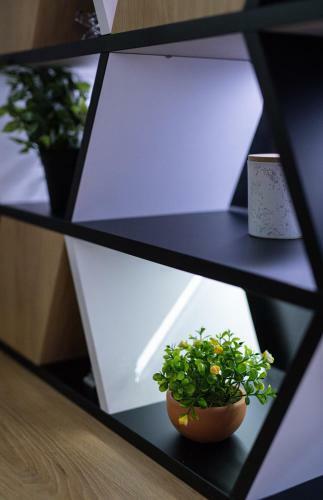 Apartamento Lux Jefimija