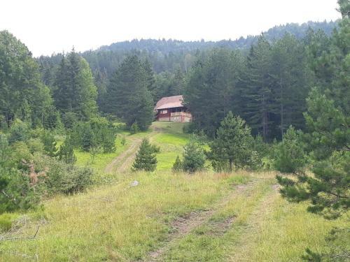 In Tara Kuca Za Odmor