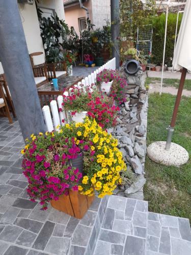 Apartmani Evelin 1