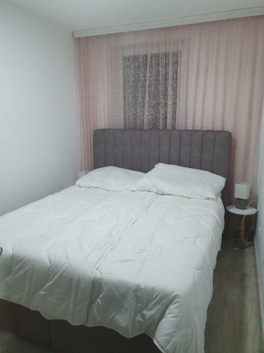 Apartmani Andrejic