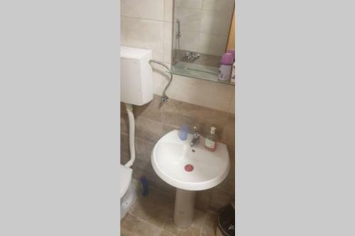 Apartmani Ricci R 1