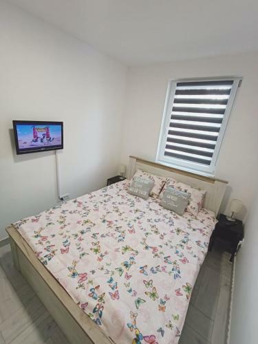 Apartman 3n