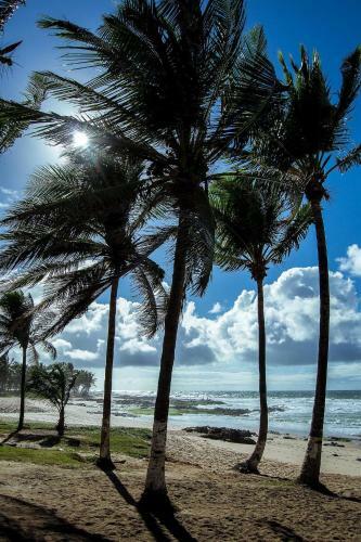 Apartamento Flat Praia de Itapu� - Kitnet