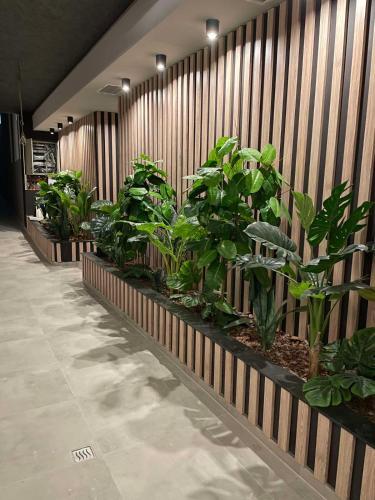 Apartamento Taralux