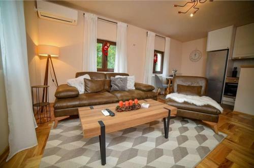 Villa Green Pine House