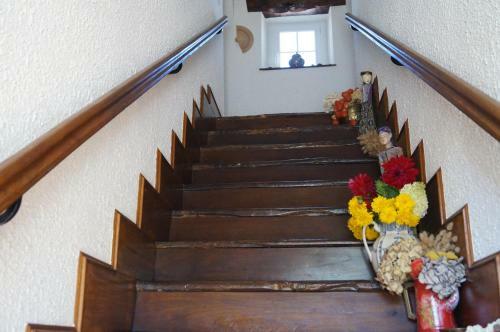 Bed & Breakfast Cottage De Claids
