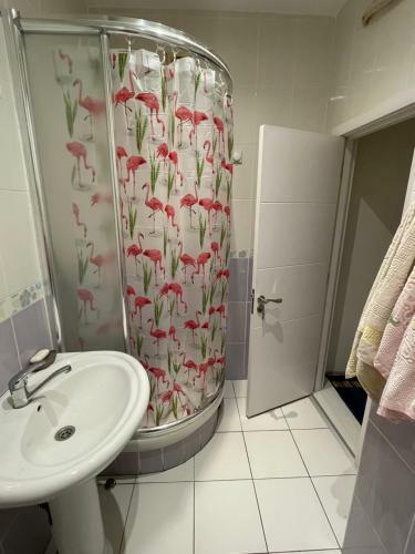 Apartamento Maja