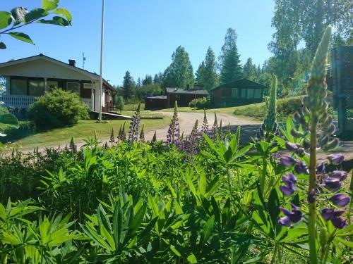 Ekesberget Stugby Stuga 8