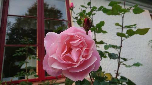 Bed & Breakfast Bo I Remmarl�v