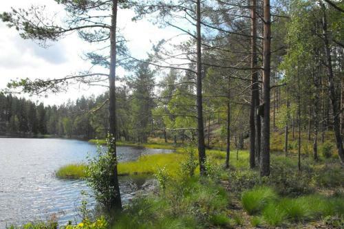 Cozy Lodge In V�rmland Sweden