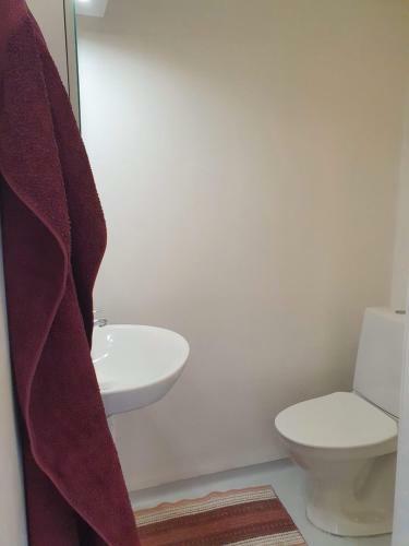Apartamento Centralt I Falkenberg