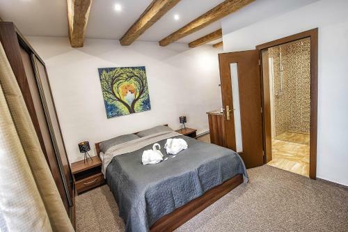 Hostal Villa Zachar