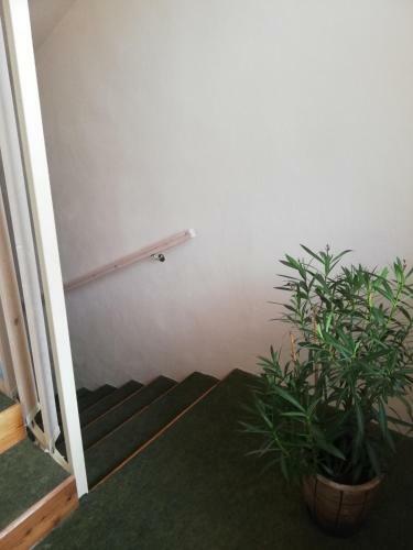 Apartm�n U Majky