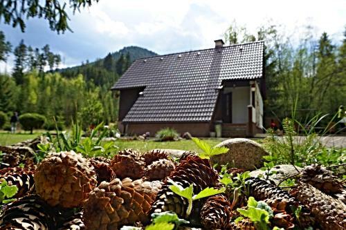 Lodge Chata Ba?ova Skala