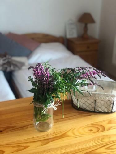 Hostal Villa L�?ky