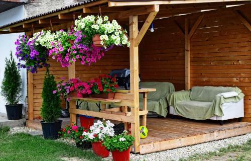 Apartman Martin