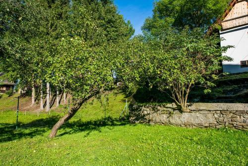 Oravsk� Dreveni?ka