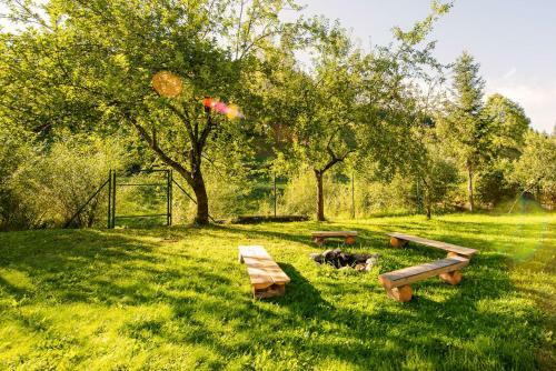 Oravsk� Dreveni?ka