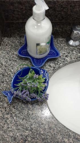 Apartamento Studio Charmoso F�rias E Trabalho