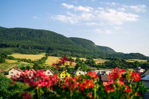 Hostal Penzi�n Pod Babou
