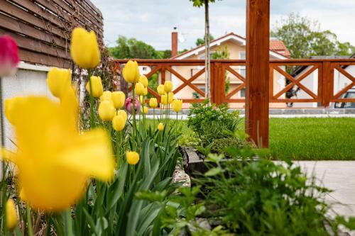 Hostal Chalet Nova Lesna Mountain View