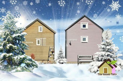 Tiny House Lavender