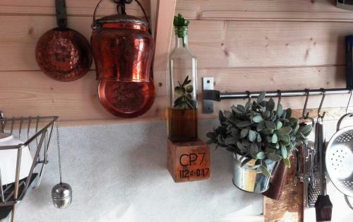 Tiny House Lavender