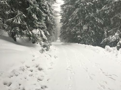 Chalet Ra?kova Dolina