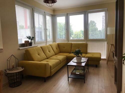 Apartamento Rustique ?amor�n