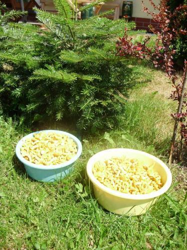 Apartamento Privat Matej