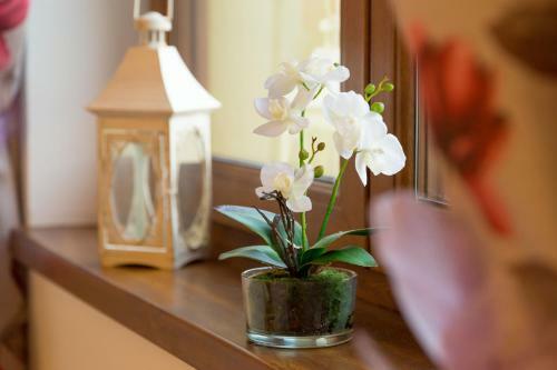 Apartmany Kenka