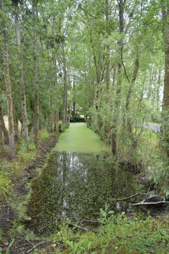 Camping La Loire Fleurie