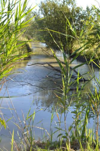 Camping La Loire Fleurie