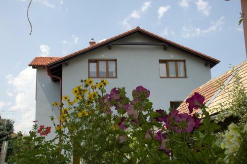 Privat Liska
