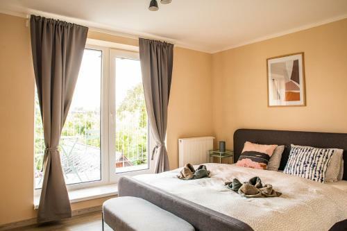 Hostal K-house