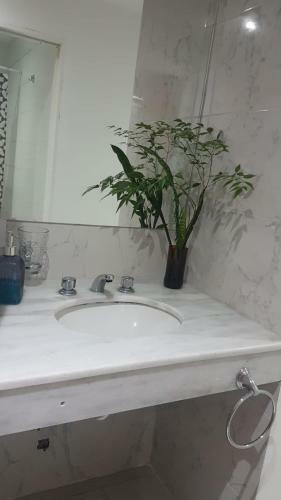 Apartamento Excelente Semipiso Centro Con Servicios
