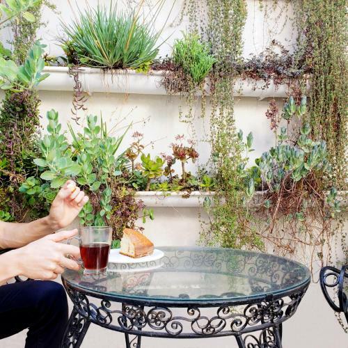 Apartamento Casa Con Dos Habitaciones Y Dos Patios