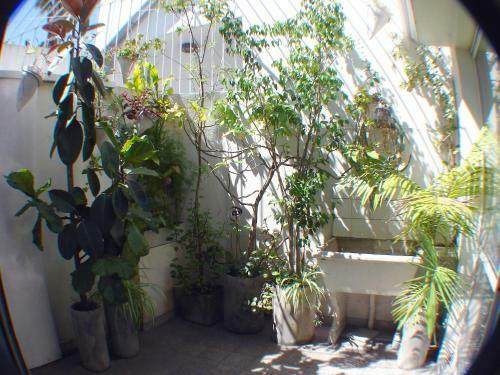 Apartamento Casa Con Dos Habitaciones Y Dos Patios