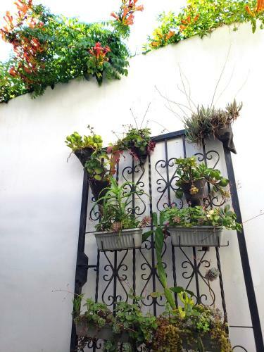 Apartamento Casa Con Dos Habitaciones Y Dos Patios