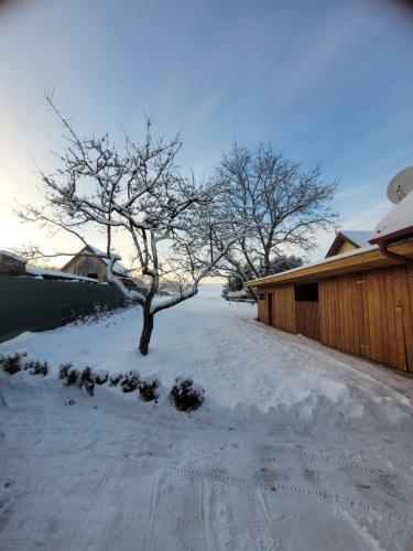 Hostal Apartm�ny ?urik